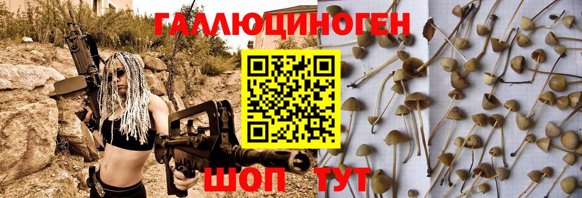 закладка  Галлюциногенные грибы Magic Shrooms  Вход с VPN  Туапсе 