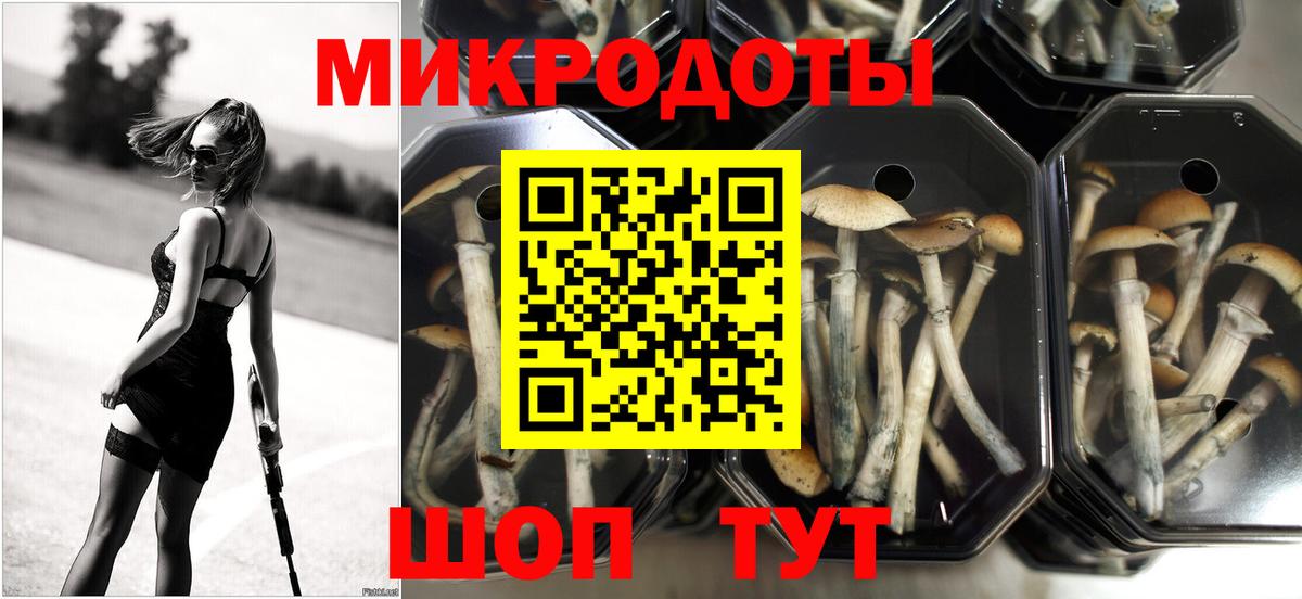Псилоцибиновые грибы мицелий Туапсе